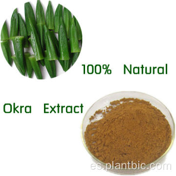 Suministro de fábrica Pure Planta Natural Extracts Okra Extracto